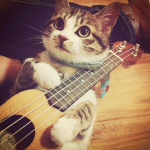 2d裸体美女内射
